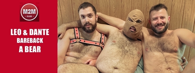 M2_230503_LeoDanteBear